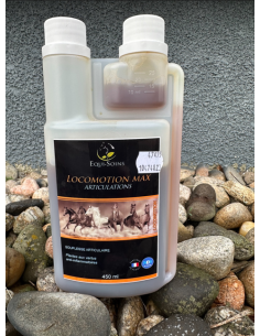 Locomotion Max - Equi-Soins