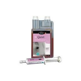 B-Quiet - Horse Master