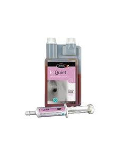 B-Quiet - Horse Master