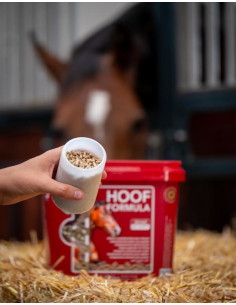 Hoof Formula - Kevin Bacon's 2