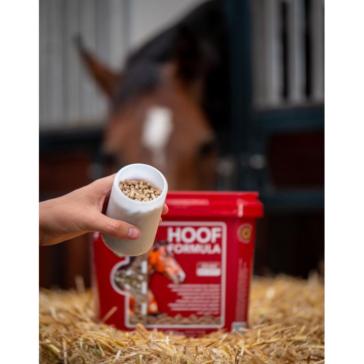 Hoof Formula - Kevin Bacon's