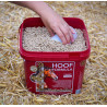 Hoof Formula - Kevin Bacon's