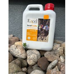 ExcelProelite - Excel Suppléments