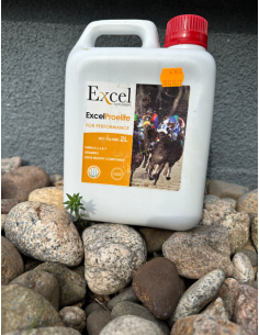 ExcelProelite - Excel Suppléments