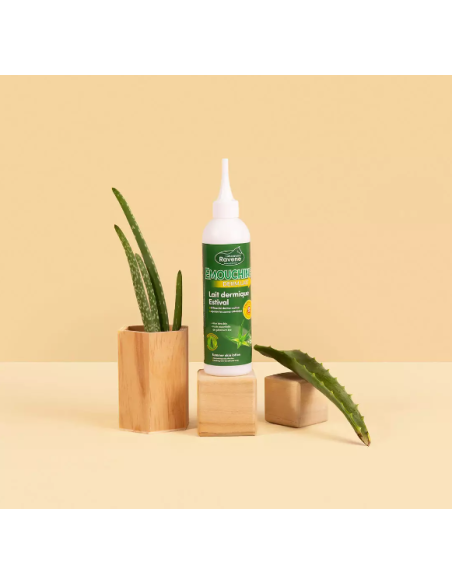 Emouchine Derm Lait Ravene