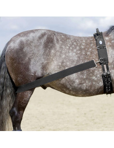 Sangle élastique "CoraLe" - USG