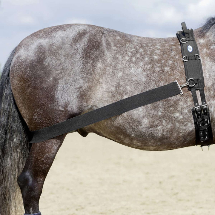 Sangle élastique "CoraLe" - USG