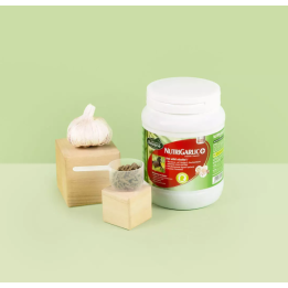 Nutrigarlic + - Ravene
