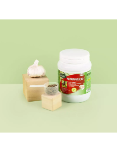 Nutrigarlic + - Ravene