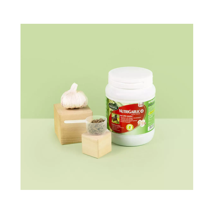 Nutrigarlic + - Ravene