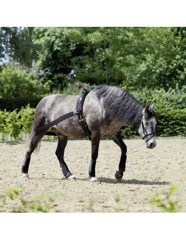 Sangle élastique "CoraLe" - USG