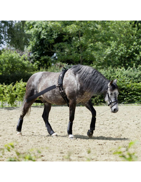 Sangle élastique "CoraLe" - USG