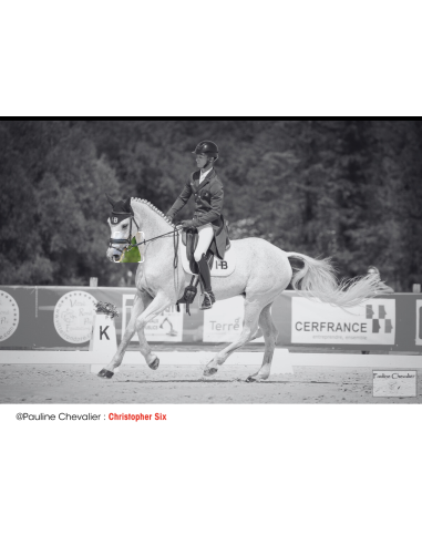 Anneaux Verdun - I-Bride