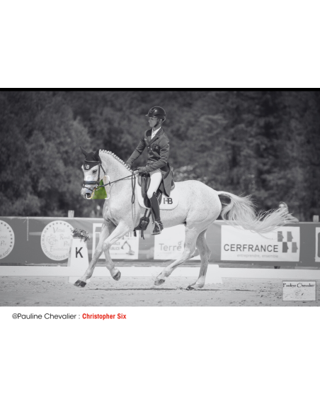 Anneaux Verdun - I-Bride