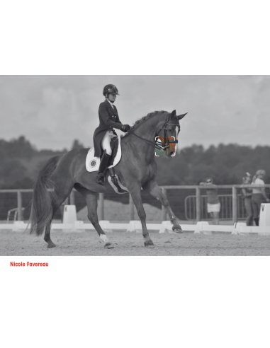 Branches Bride - I-Bride