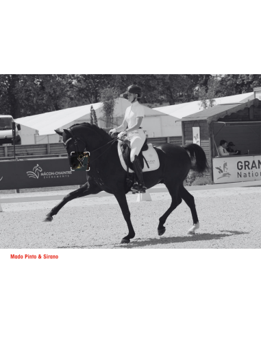 Branches Bride - I-Bride