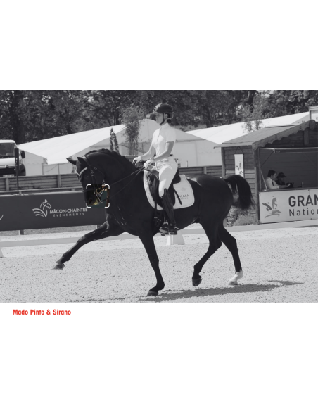 Branches Bride - I-Bride