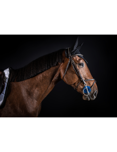 Boucles Baucher - I-Bride