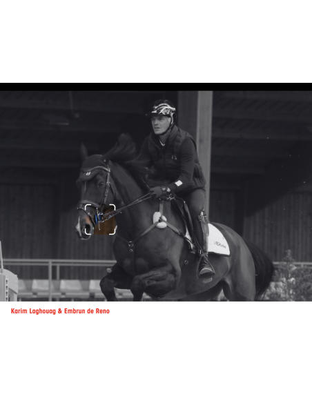 Branches Aiguilles Releveur - I-Bride