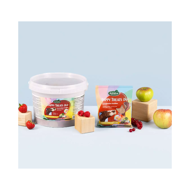 Friandises Happy treats duo Ravene