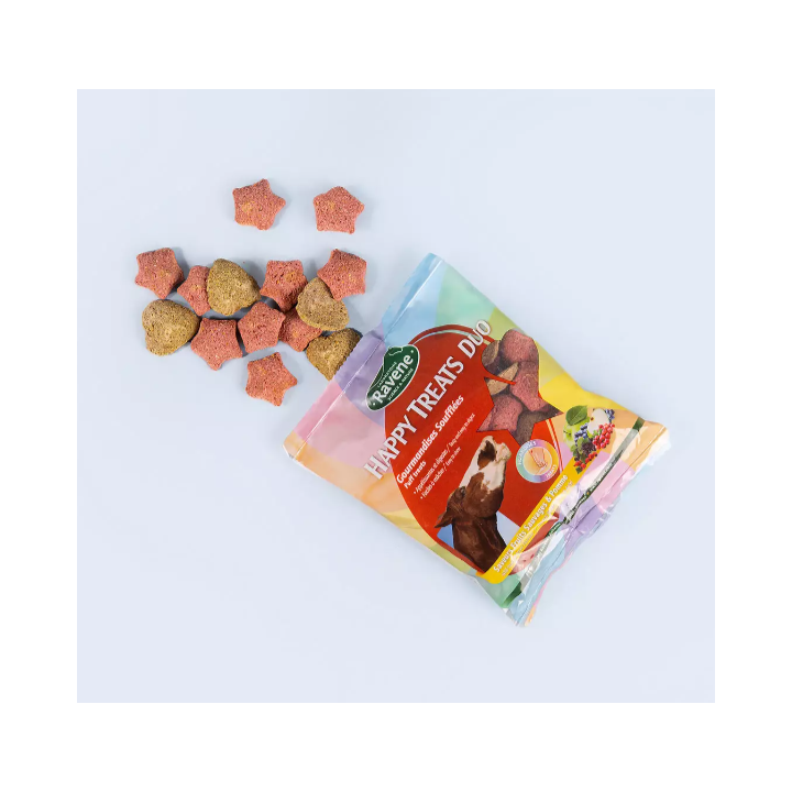 Friandises Happy treats duo Ravene