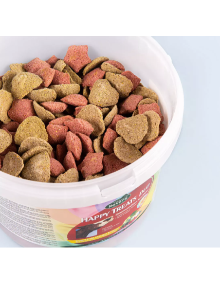 Friandises Happy treats duo Ravene