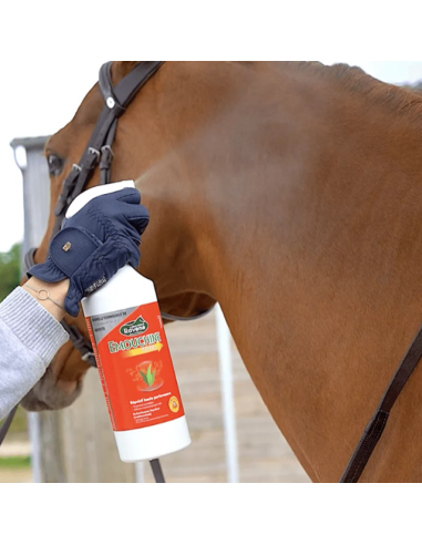 Emouchine Total - Ravene