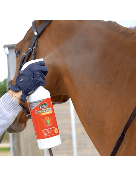 Emouchine Total - Ravene