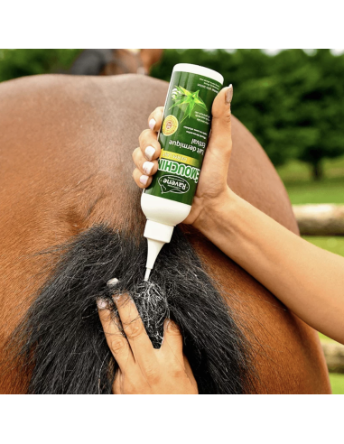 Emouchine Derm Lait Ravene