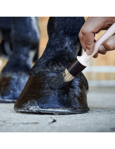 Pedigard Onguent Noir - Ravene