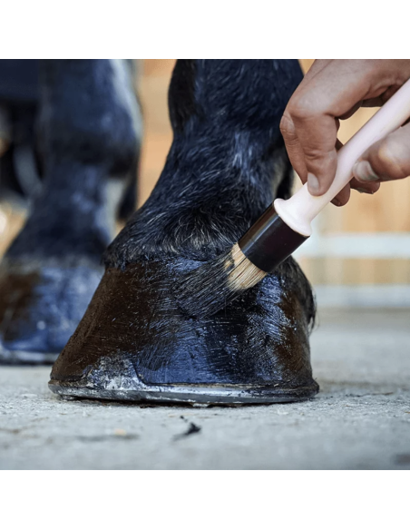 Pedigard Onguent Noir - Ravene