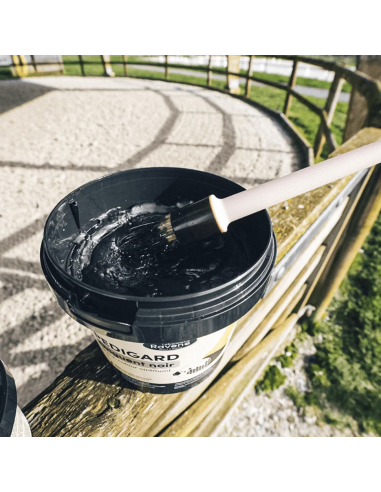 Pedigard Onguent Noir - Ravene