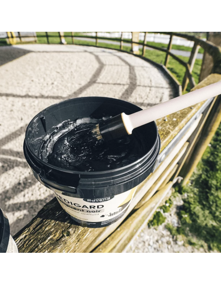 Pedigard Onguent Noir - Ravene