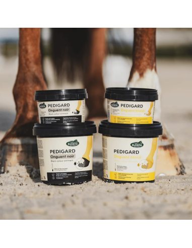 Pedigard Onguent Noir - Ravene