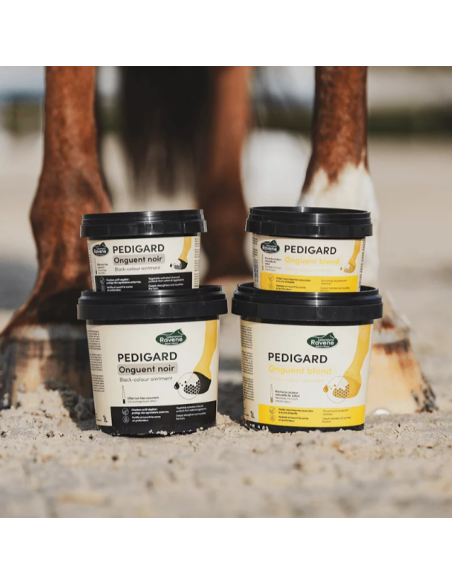 Pedigard Onguent Noir - Ravene