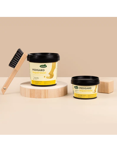 Pedigard Onguent Blond - Ravene
