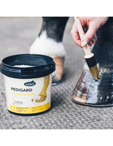 Pedigard Onguent Blond - Ravene