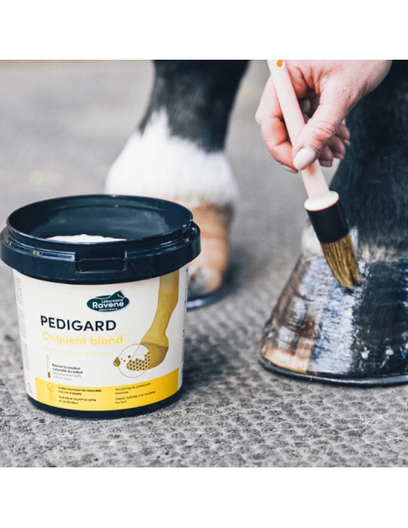 Pedigard Onguent Blond - Ravene