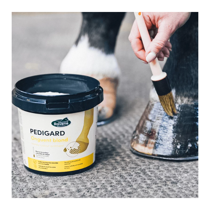 Pedigard Onguent Blond - Ravene