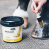 Pedigard Onguent Blond - Ravene