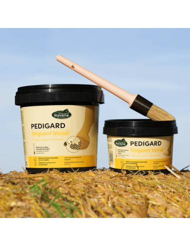 Pedigard Onguent Blond - Ravene