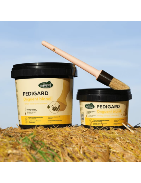 Pedigard Onguent Blond - Ravene