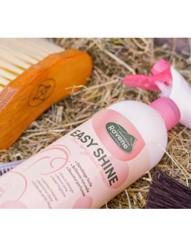 Easy Shine - Ravene