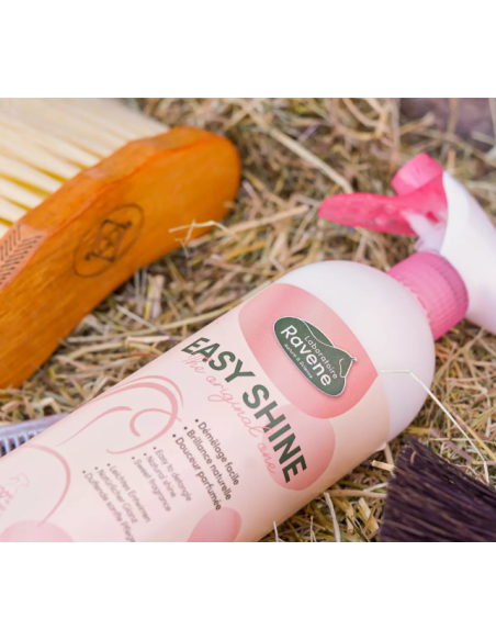 Easy Shine - Ravene