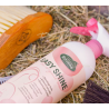 Easy Shine - Ravene