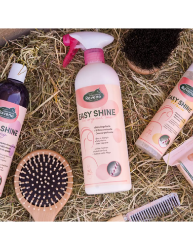 Easy Shine - Ravene