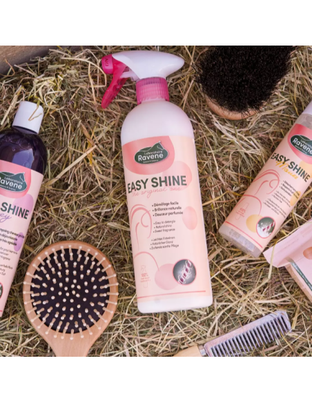 Easy Shine - Ravene