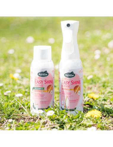 Easy Shine Intense - Ravene