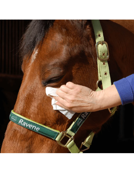 Easy Shine Wipe - Ravene