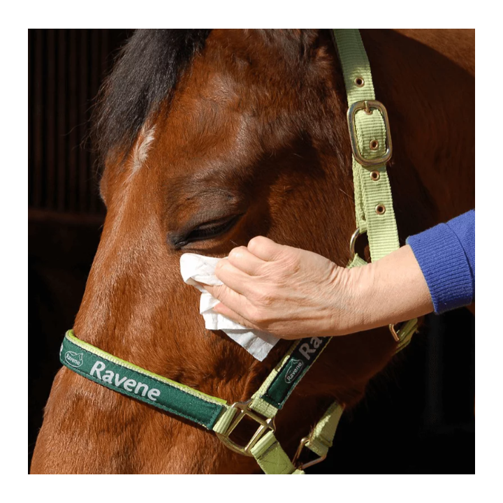 Easy Shine Wipe - Ravene